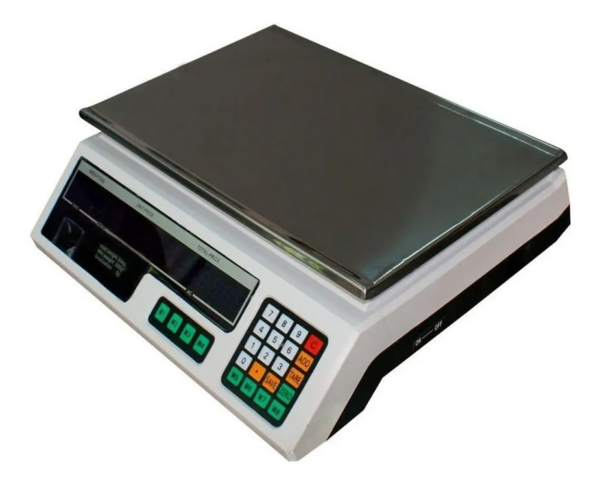 BALANZA METALICA DE 40KG - Imagen 2