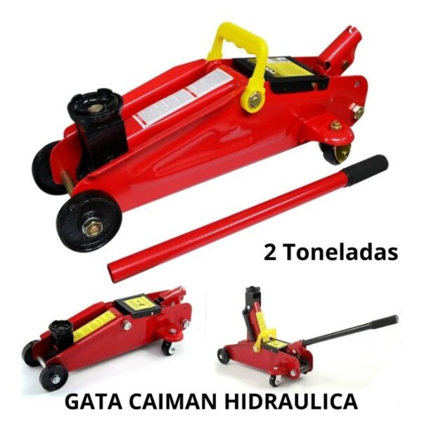 GATA CAIMAN 2 T - Imagen 6