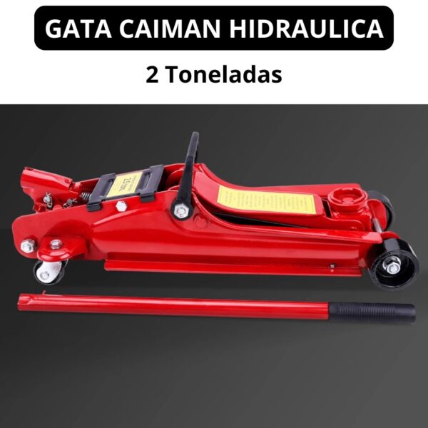GATA CAIMAN 2 T - Imagen 5