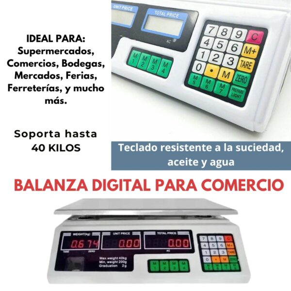BALANZA METALICA DE 40KG - Imagen 4