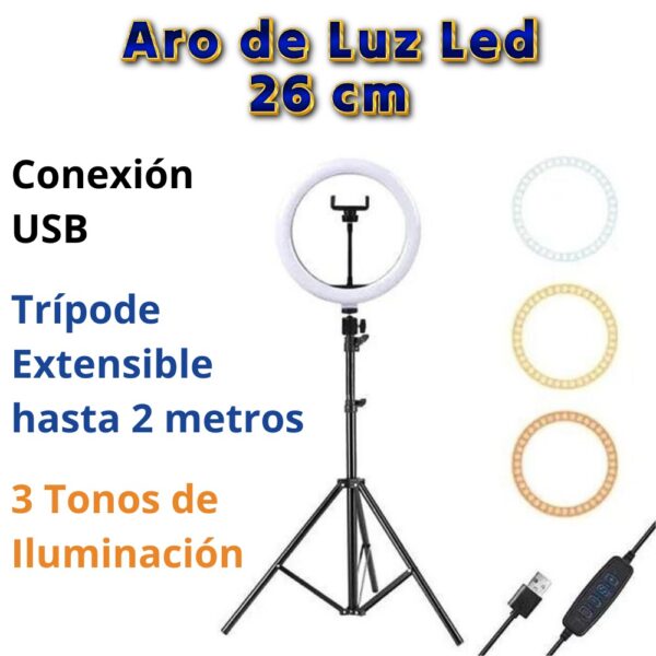 ARO DE LUZ - Imagen 4