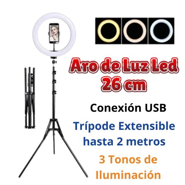 ARO DE LUZ - Imagen 5