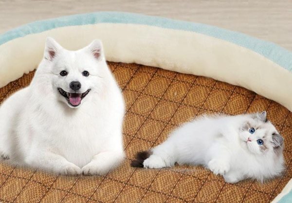 CAMA PARA GATO TALLA S